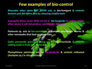 Few examples of bio-control
Muscodor albus strain QST 20799 acts as bio-fumigant & controls
bacteria and soil borne pest by releasing volatile toxin
Aspergillus flavus strain AF36 can act as bio-fungicide for cotton. Unlike
other strains it will not produce carcinogenic ‘Aflatoxin’
Pasteuria sp. acts as bio-nematicide & controls microscopic worms &
other nematodes that feed on plant roots
Cydia pomonella granulosis virus acts as bio-insecticide & controls
codling moth in fruits like apples & pears
Phytophthora palmivora acts as bio-herbicide & controls milkweed
(Asclepias sp.) in citrus orchards
9/11/2014 Division of Agricultural Chemicals 48
 
