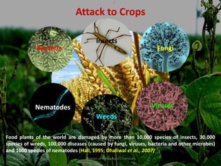 Bacteria Fungi
Viruses
Nematodes
Attack to Crops
9/11/2014 8
Division of Agricultural Chemicals
Food plants of the world are damaged by more than 10,000 species of insects, 30,000
species of weeds, 100,000 diseases (caused by fungi, viruses, bacteria and other microbes)
and 1000 species of nematodes (Hall, 1995; Dhaliwal et al., 2007)
Insects
Weeds
 