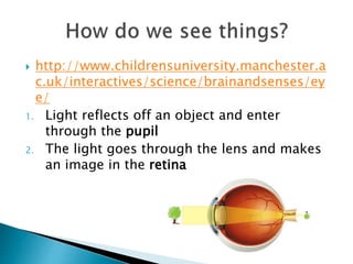  http://www.childrensuniversity.manchester.a
c.uk/interactives/science/brainandsenses/ey
e/
1. Light reflects off an object and enter
through the pupil
2. The light goes through the lens and makes
an image in the retina
 