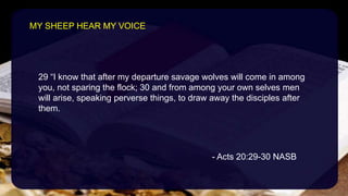 29 “I know that after my departure savage wolves will come in among
you, not sparing the flock; 30 and from among your own selves men
will arise, speaking perverse things, to draw away the disciples after
them.
- Acts 20:29-30 NASB
MY SHEEP HEAR MY VOICE
 