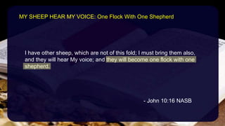 I have other sheep, which are not of this fold; I must bring them also,
and they will hear My voice; and they will become one flock with one
shepherd.
- John 10:16 NASB
MY SHEEP HEAR MY VOICE: One Flock With One Shepherd
 