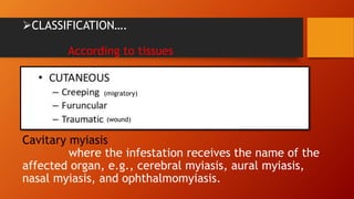 Myiasis ....a parasitic disease. | PPTX