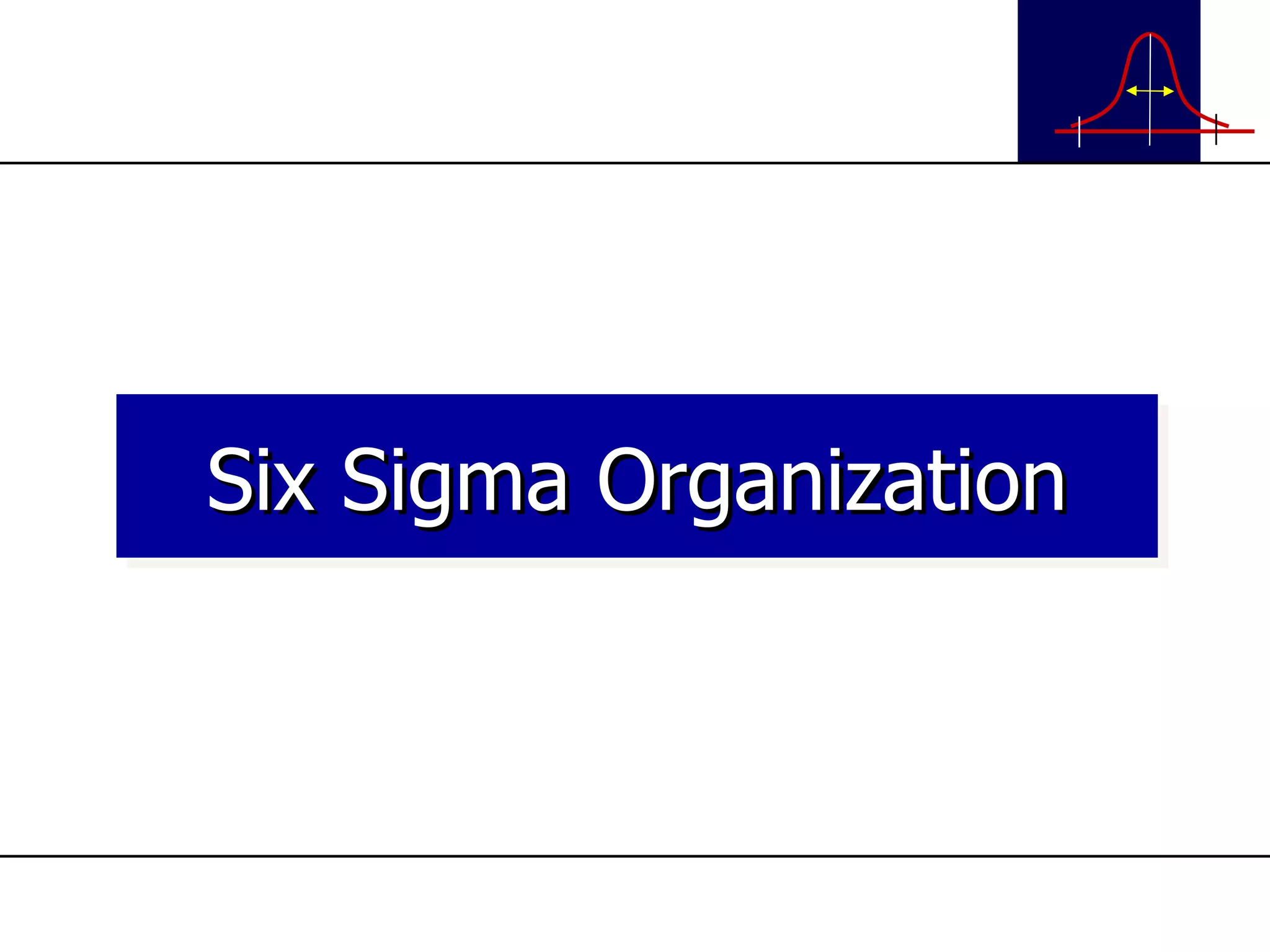 Six Sigma Organization 