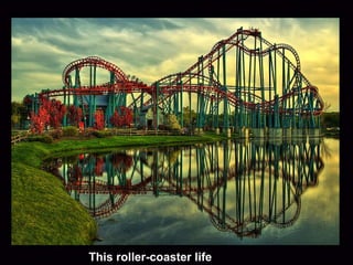 This roller-coaster life 