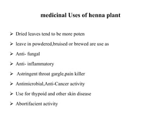 Medicinal and cosmetics values of Henna plant | PPT