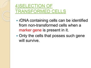 Recombinant DNA Technology and Drug Discovery | PPTX