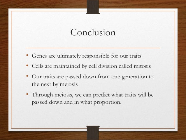 Mendel U0026 39 S Genetics