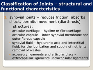 Classification of Joints – structural and
functional characteristics
3. synovial joints – reduces friction, absorbs
shock, permits movement (diarthrosis)
structures:
• articular cartilage – hyaline or fibrocartilage
• articular capsule – inner synovial membrane and
outer fibrous capsule
• synovial fluid – hyaluronic acid and interstitial
fluid, for the lubrication and supply of nutrients,
removal of wastes
• accessory ligaments and articular discs –
extracapsular ligaments, intracapsular ligaments
 