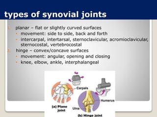 types of synovial joints
1. planar – flat or slightly curved surfaces
• movement: side to side, back and forth
• intercarpal, intertarsal, sternoclavicular, acromioclavicular,
sternocostal, vertebrocostal
2. hinge – convex/concave surfaces
• movement: angular, opening and closing
• knee, elbow, ankle, interphalangeal
 