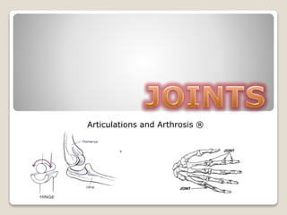 Articulations and Arthrosis ®
 