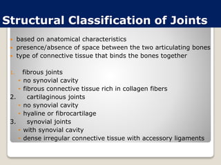 Structural Classification of Joints
 based on anatomical characteristics
 presence/absence of space between the two articulating bones
 type of connective tissue that binds the bones together
1. fibrous joints
• no synovial cavity
• fibrous connective tissue rich in collagen fibers
2. cartilaginous joints
• no synovial cavity
• hyaline or fibrocartilage
3. synovial joints
• with synovial cavity
• dense irregular connective tissue with accessory ligaments
 