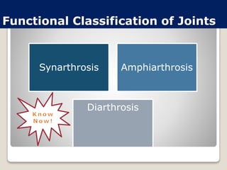 Functional Classification of Joints
Synarthrosis Amphiarthrosis
Diarthrosis
 