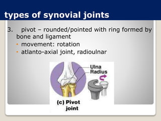 types of synovial joints
3. pivot – rounded/pointed with ring formed by
bone and ligament
• movement: rotation
• atlanto-axial joint, radioulnar
 
