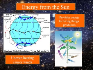 Energy from the SunEnergy from the Sun
Uneven heating
causes winds
Uneven heating
causes winds
Provides energy
for living things
producers
 