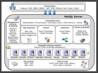 MySQL - the database