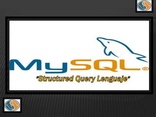 “Structured Query Lenguaje” 