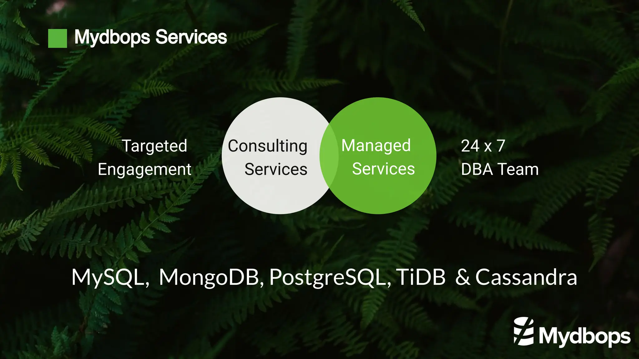 Mydbops Services
Consulting
Services
Managed
Services
MySQL, MongoDB, PostgreSQL, TiDB & Cassandra
Targeted
Engagement
24 x 7
DBA Team
 