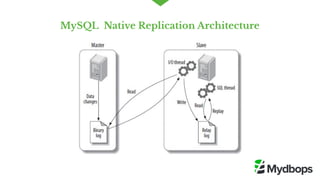 MySQL  Native Replication Architecture
 
