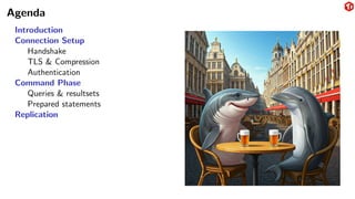 Agenda
Introduction
Connection Setup
Handshake
TLS & Compression
Authentication
Command Phase
Queries & resultsets
Prepared statements
Replication
 
