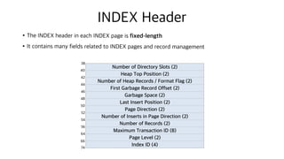 INDEX Header
•The INDEX header in each INDEX page is fixed-length
•It contains many fields related to INDEX pages and record management
Number of Directory Slots (2)
Heap Top Position (2)
Number of Heap Records / Format Flag (2)
First Garbage Record Offset (2)
Garbage Space (2)
Last Insert Position (2)
Page Direction (2)
Number of Inserts in Page Direction (2)
Number of Records (2)
Maximum Transaction ID (8)
Page Level (2)
Index ID (4)
38
40
42
44
46
48
50
52
54
56
64
66
74
 