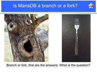 Is MariaDB a branch or a fork?




     Branch or fork, that are the answers. What is the question?

Notice: MySQL is a re...