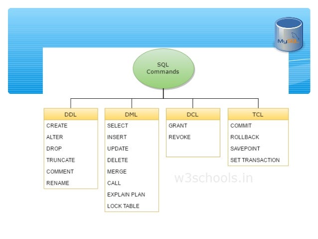 Mysql database