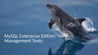 Copyright © 2014 Oracle and/or its affiliates. All rights reserved. |
MySQL Enterprise Edition:
Management Tools
15
 
