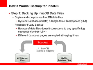 MySQL Enterprise Backup | PDF