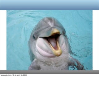 segunda-feira, 19 de abril de 2010
 