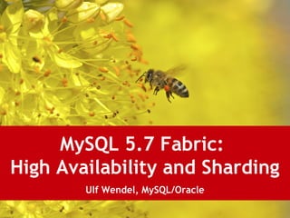 MySQL 5.7 Fabric:
High Availability and Sharding
Ulf Wendel, MySQL/Oracle
 