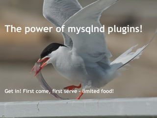 The power of mysqlnd plugins! Get in! First come, first serve – limited food! 