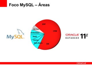 Foco MySQL – Áreas
 