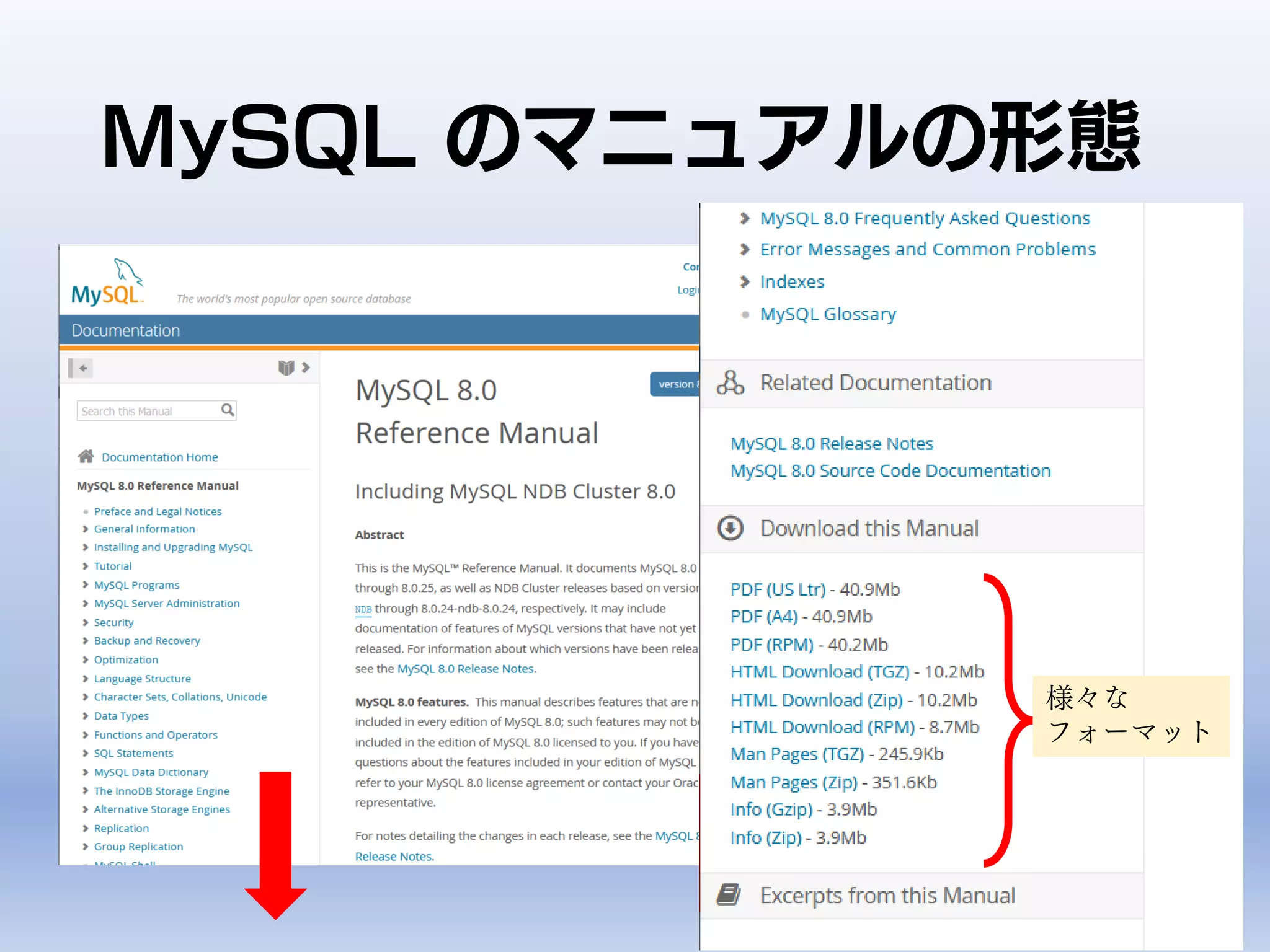 MySQL のマニュアルの形態
様々な
フォーマット
 