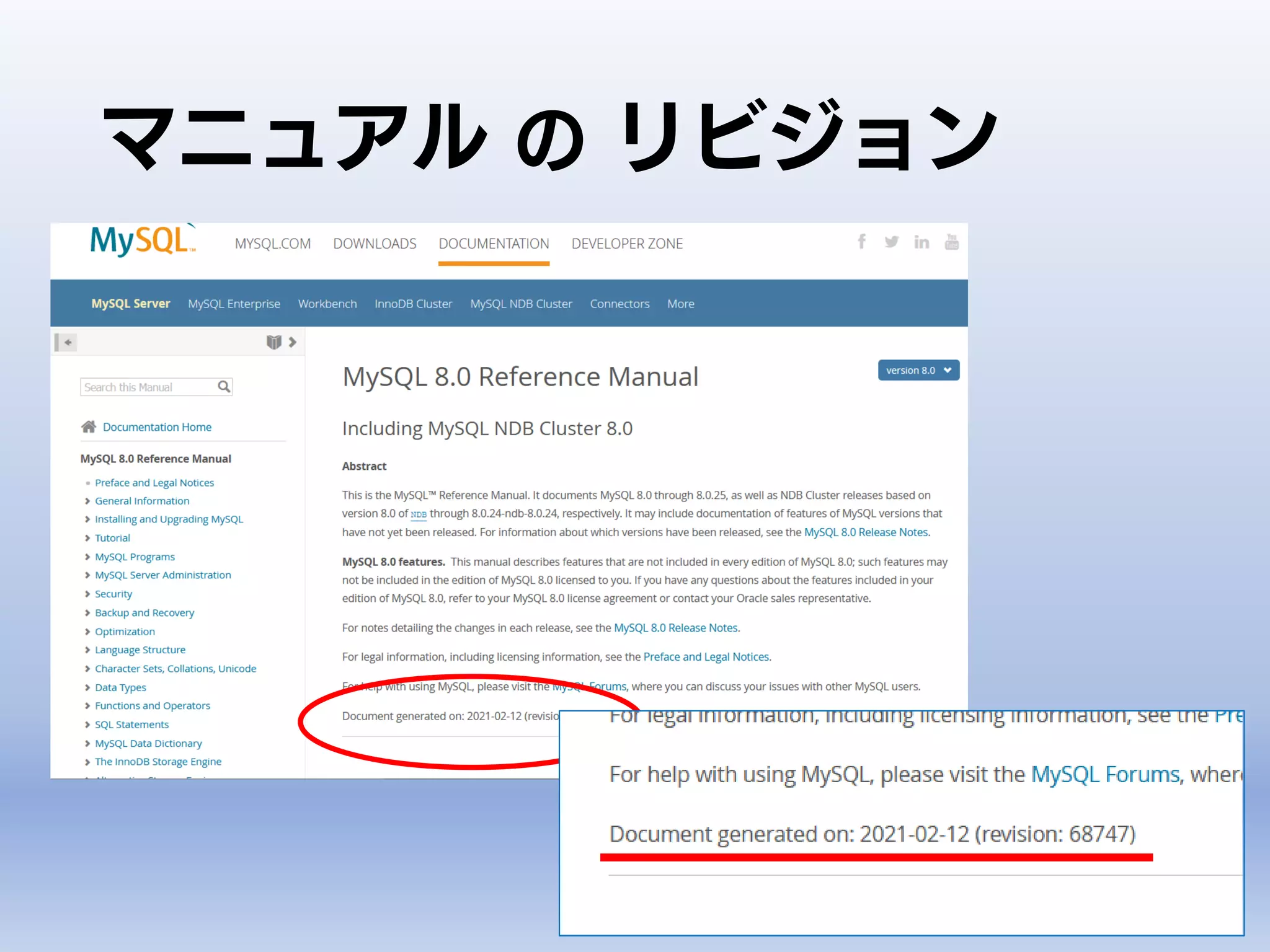 マニュアル の リビジョン
 