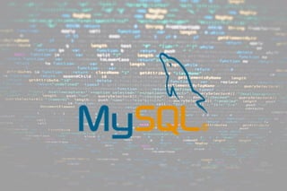 PHP MySQL Development Services | PHP MySQL Developer | Chetu