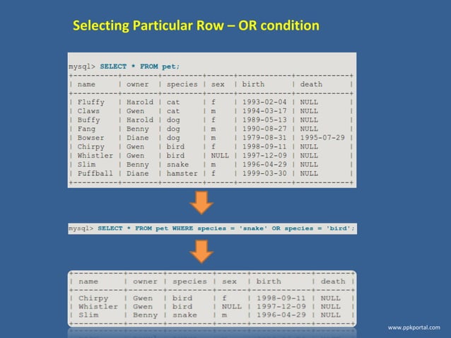 Mysql tutorial commands_part1 | PPT