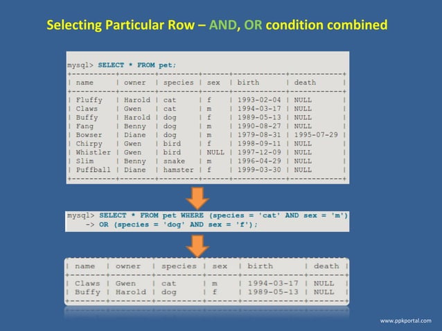 Mysql tutorial commands_part1 | PPT image.