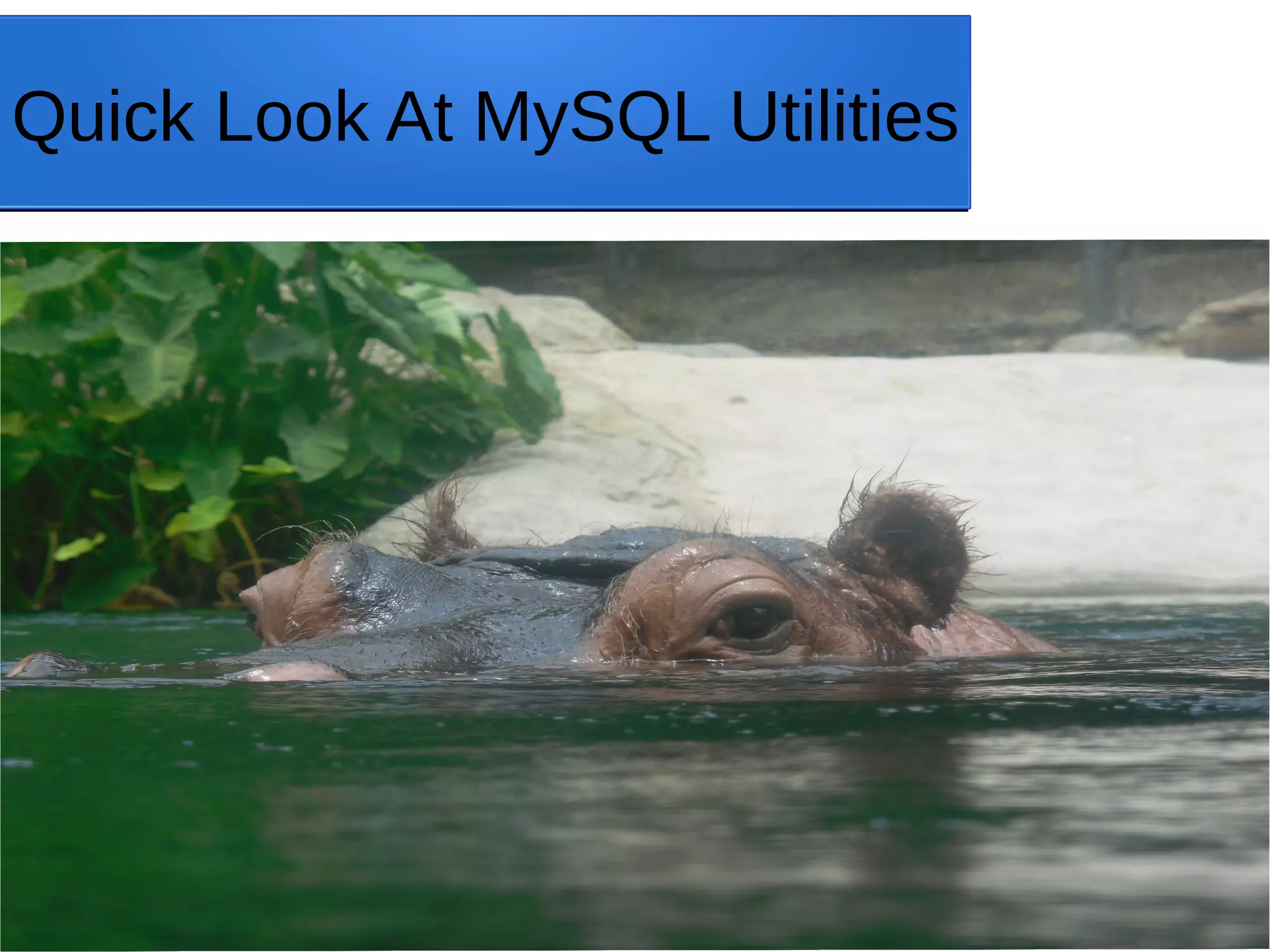 Quick Look At MySQL Utilities 