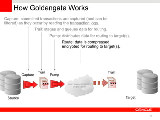 How Goldengate Works
Capture: committed transactions are captured (and can be
filtered) as they occur by reading the transaction logs.
                    Trail: stages and queues data for routing.
                              Pump: distributes data for routing to target(s).
                                     Route: data is compressed,
                                     encrypted for routing to target(s).




                      Trail                                      Trail
          Capture             Pump




 Source                                                                    Target




                                                                                    16
 