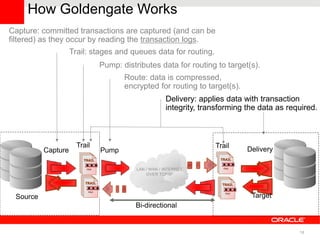 How Goldengate Works
Capture: committed transactions are captured (and can be
filtered) as they occur by reading the transaction logs.
                    Trail: stages and queues data for routing.
                              Pump: distributes data for routing to target(s).
                                     Route: data is compressed,
                                     encrypted for routing to target(s).
                                                  Delivery: applies data with transaction
                                                  integrity, transforming the data as required.



                      Trail                                      Trail
          Capture             Pump                                         Delivery




 Source                                                                     Target
                                        Bi-directional


                                                                                         18
 