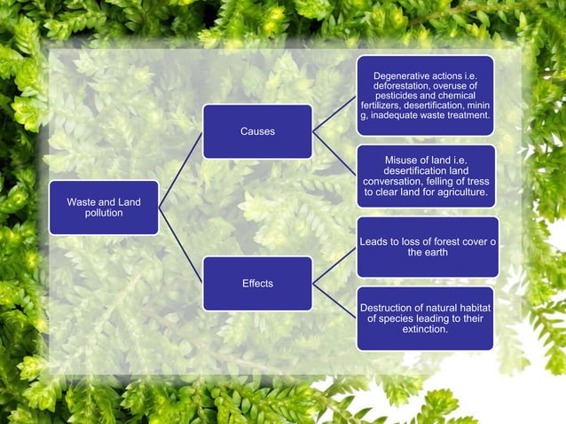 Environmental Education Ppt Template