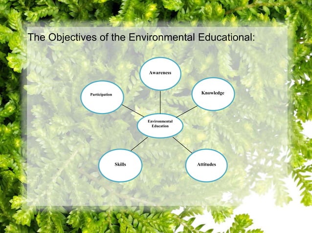 Environmental Education PPT