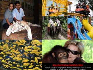 BALI SAFARI & MARINE PARK
Displays everything ranging from theme parks to aqua parks to animal
shows etc for all age groups from toddlers to the aged.

 
