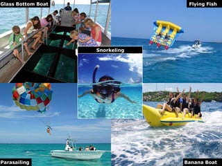 Glass Bottom Boat

Flying Fish

Snorkeling

Parasailing

Banana Boat

 