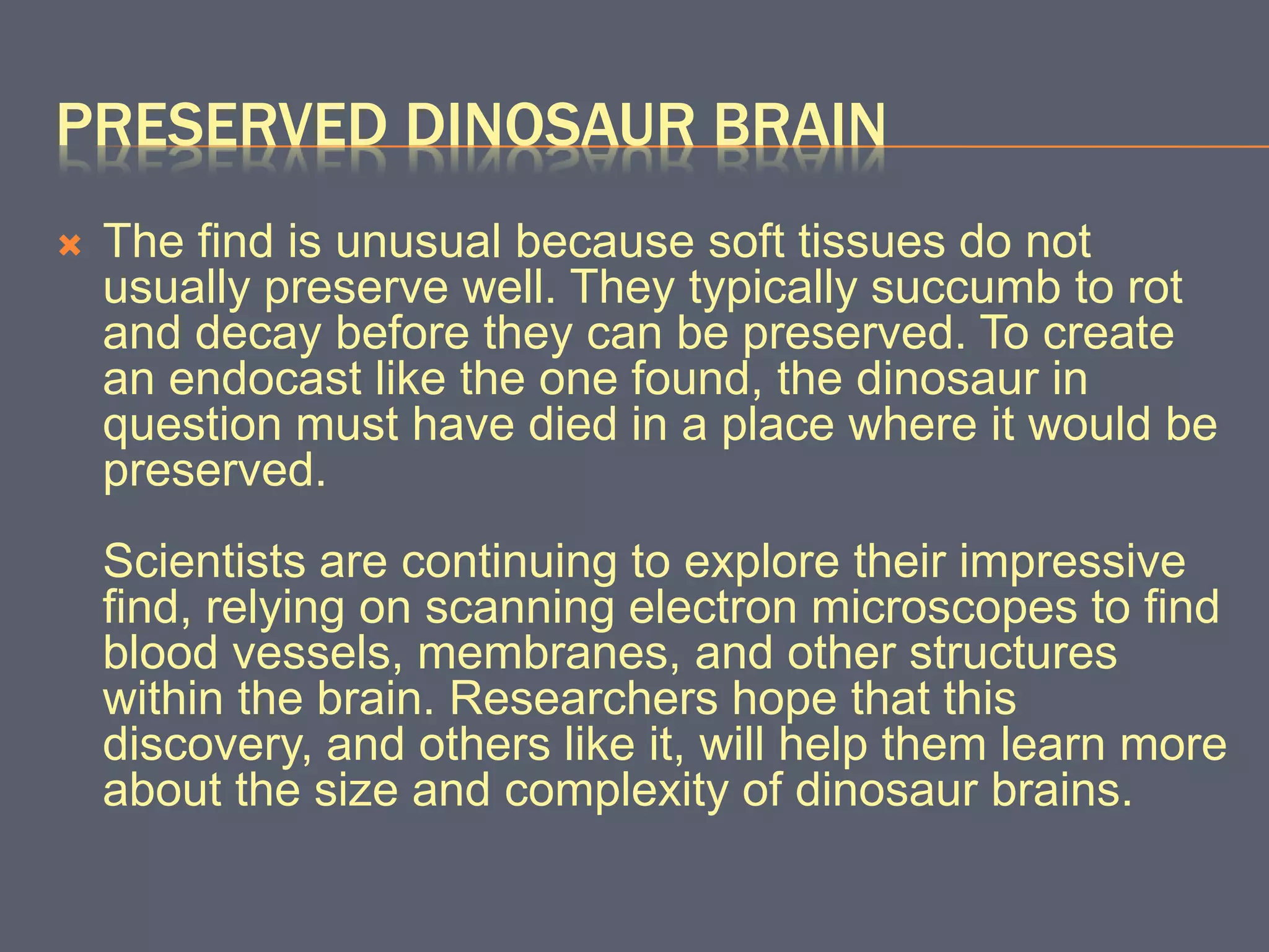 PRESERVED DINOSAUR BRAIN
 The find is unusual because soft tissues do not
usually preserve well. They typically succumb to rot
and decay before they can be preserved. To create
an endocast like the one found, the dinosaur in
question must have died in a place where it would be
preserved.
Scientists are continuing to explore their impressive
find, relying on scanning electron microscopes to find
blood vessels, membranes, and other structures
within the brain. Researchers hope that this
discovery, and others like it, will help them learn more
about the size and complexity of dinosaur brains.
 