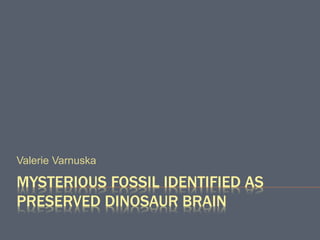 MYSTERIOUS FOSSIL IDENTIFIED AS
PRESERVED DINOSAUR BRAIN
Valerie Varnuska
 