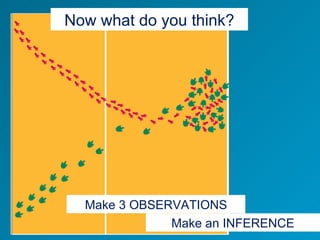 Now what do you think? Make 3 OBSERVATIONS Make an INFERENCE 