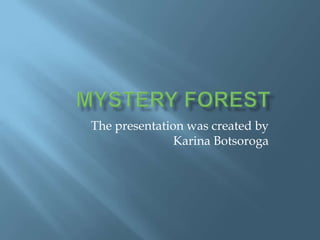 The presentation was created by
               Karina Botsoroga
 