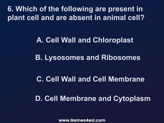 A. Cell Wall and Chloroplast
6. Which of the following are present in
plant cell and are absent in animal cell?
B. Lysosomes and Ribosomes
D. Cell Membrane and Cytoplasm
C. Cell Wall and Cell Membrane
 