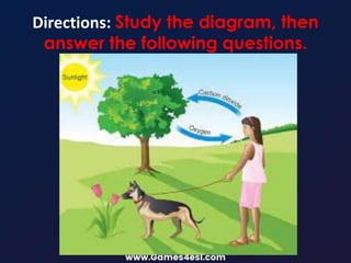 Directions: Study the diagram, then
answer the following questions.
 